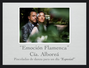Art i Flamenc