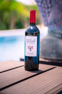 BODEGAS ISMAEL ARROYO – VALSOTILLO