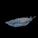 Galart Photography